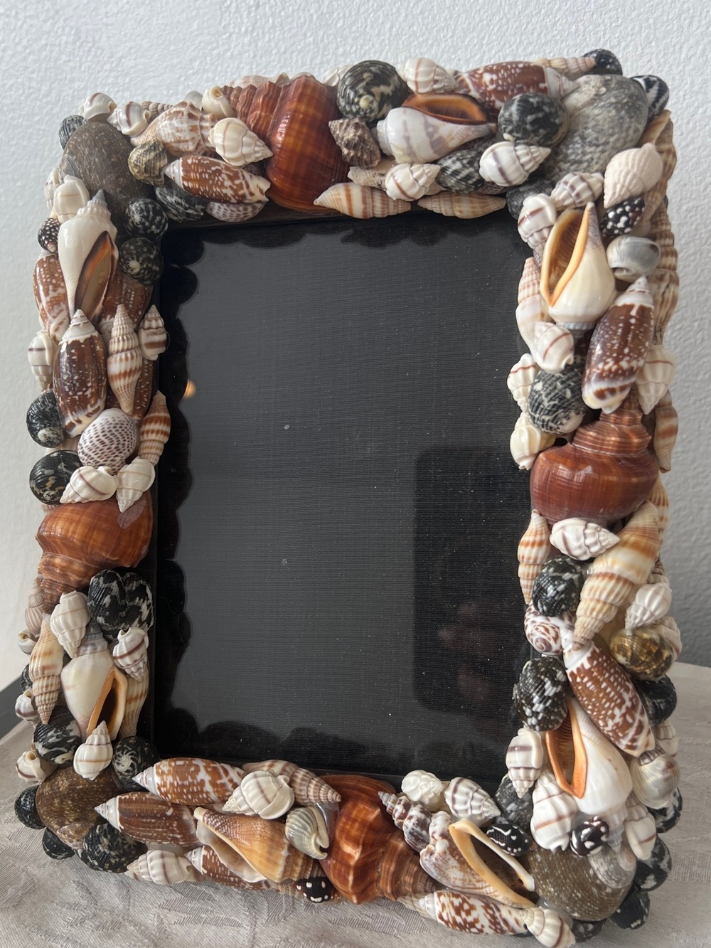 Vintage Seashell Photo Frame - Brown, Cream & Black Accents